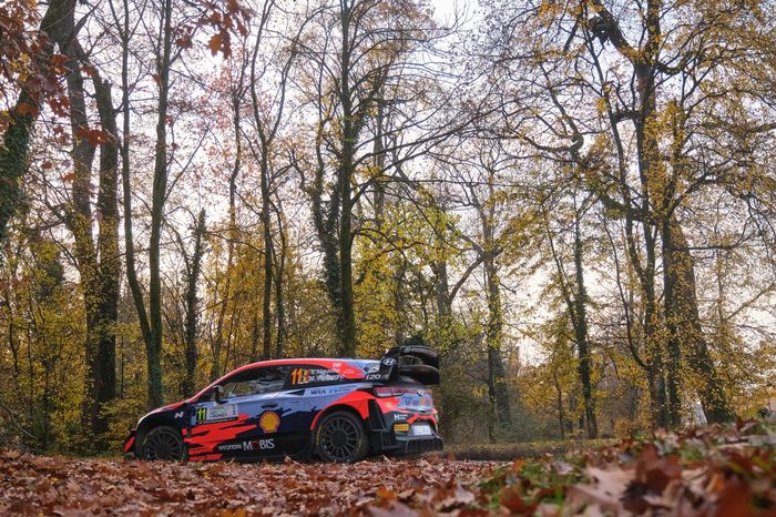 Thierry Neuville, Martijn Wydaeghe, Hyundai Motorsport Hyundai i20 Coupe WRC
