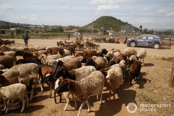 Jourdan Serderidis, FrÃ©dÃ©ric Miclotte, M-Sport Ford World Rally Team Ford Puma Rally1