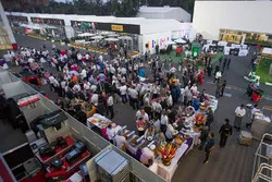Paddock atmosphere