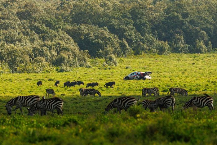 Takamoto Katsuta, Aaron Johnston, Toyota Gazoo Racing WRT Toyota GR Yaris Rally1