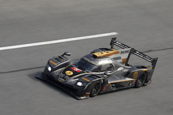 #5 Action Express Racing Cadillac DPi: Joao Barbosa, Filipe Albuquerque, Christian Fittipaldi