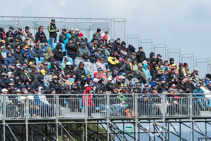 Crowds