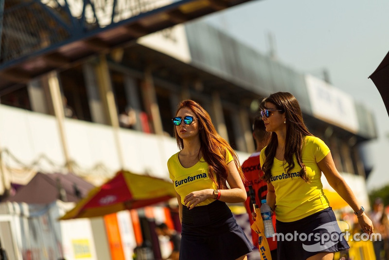 Grid girls