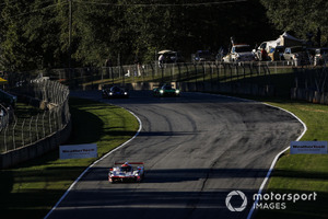 #31 Action Express Racing Cadillac DPi, P: Eric Curran, Felipe Nasr, Gabby Chaves