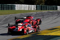 Spencer Pigot