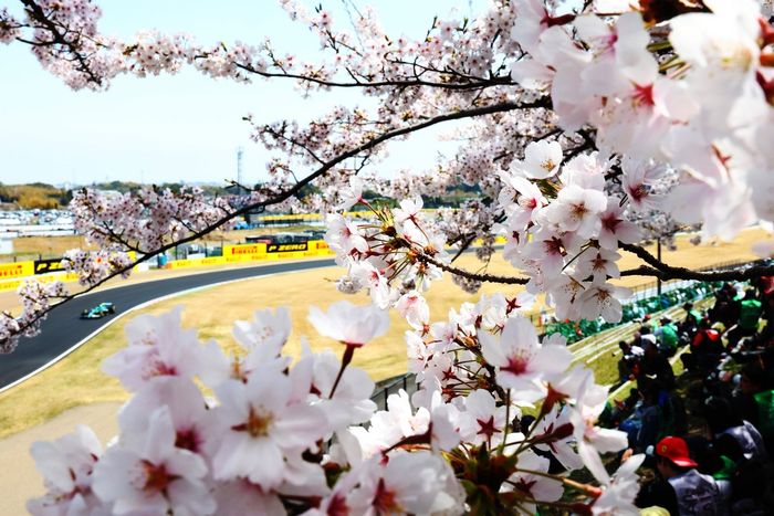 Fernando Alonso, Aston Martin Racing