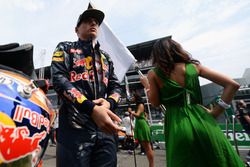 Max Verstappen, Red Bull Racing en la parrilla