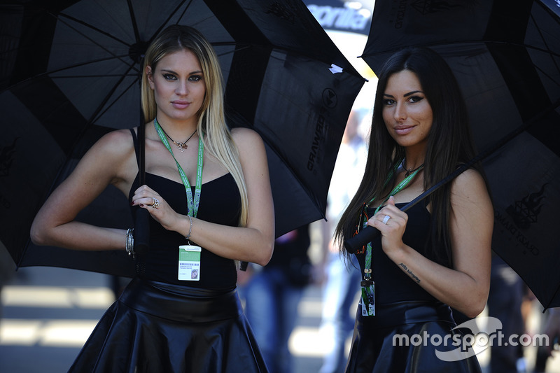 Lovely grid girls