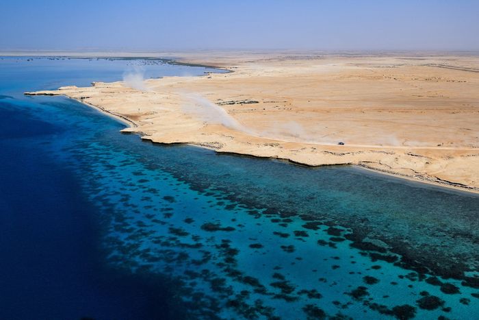 #226 Ford M-Sport Ford: Mattias Ekstrom, Emil Bergkvist