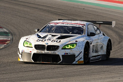 BMW M6 GT3, Alex Zanardi BMW Team Italia