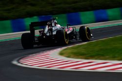 Jenson Button, McLaren MP4-31