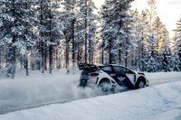 Ливрея раллийной Ford Fiesta Валттери Боттаса
