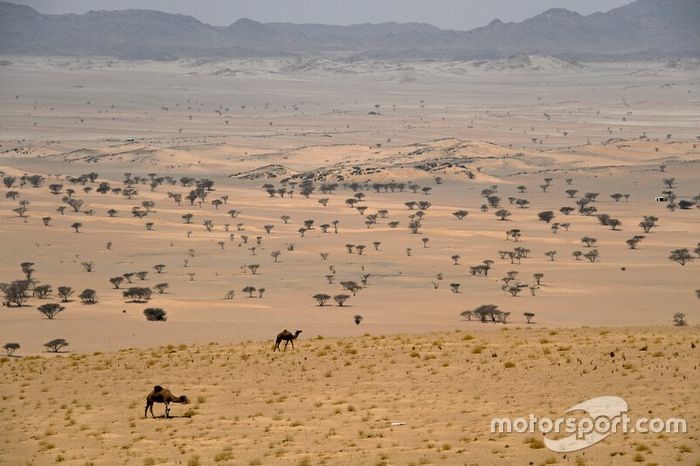 Reconocimientos del Dakar 2020