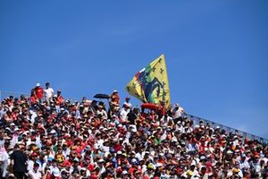 Fans