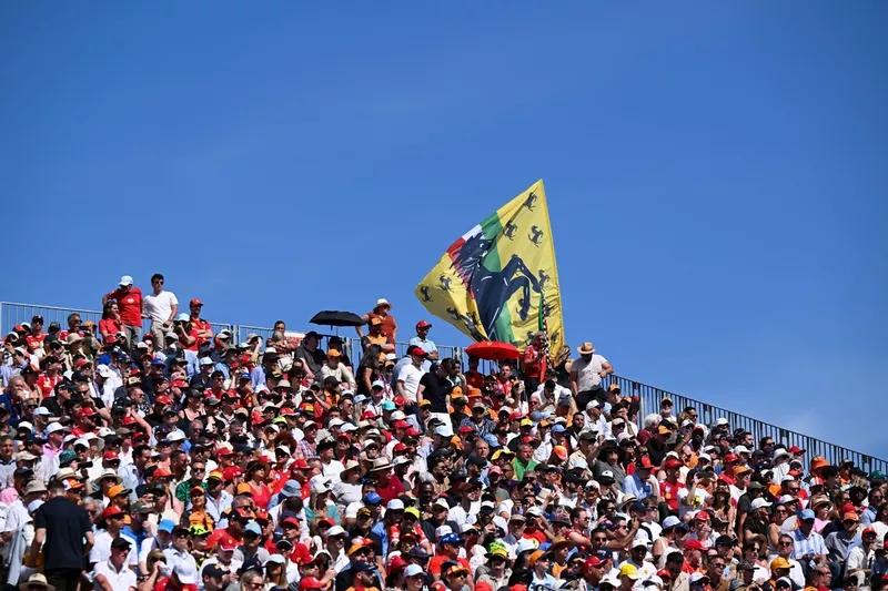 Fans