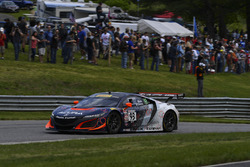 #93 RealTime Racing Acura NSX GT3: Peter Kox, Mark Wilkins