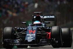 Фернандо Алонсо, McLaren MP4-31