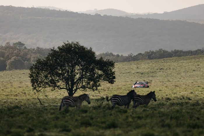 Esapekka Lappi, Enni Malkonen, Hyundai World Rally Team Hyundai i20 N Rally1