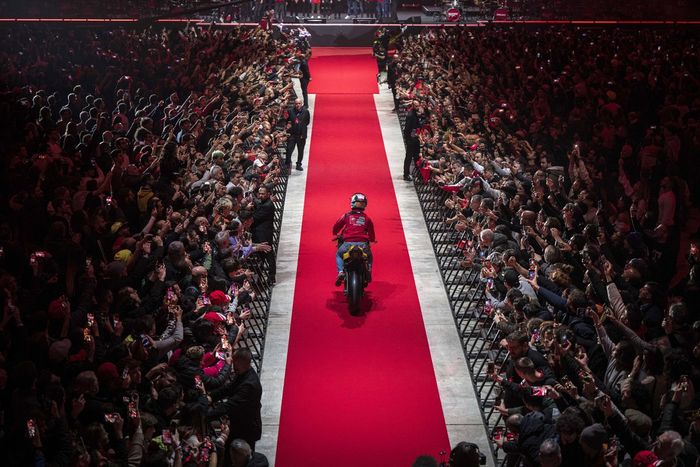 Campeones en celebración