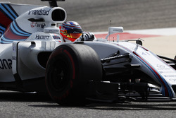 Gary Paffett, Williams FW40