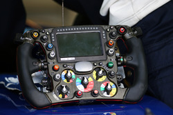 Sauber C35, il volante