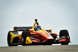Zach Veach, Andretti Autosport Honda