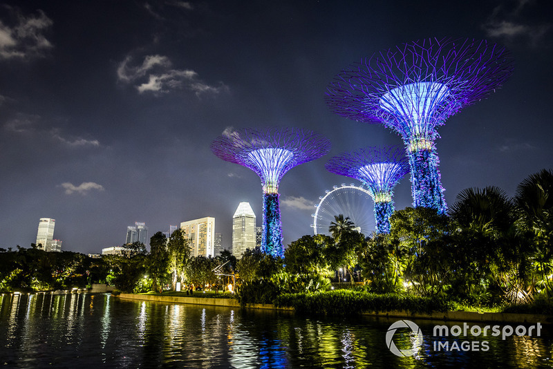 The illuminated Supertree Grove in the Gardens by the Bay and the distinctive Singapore skyline at night