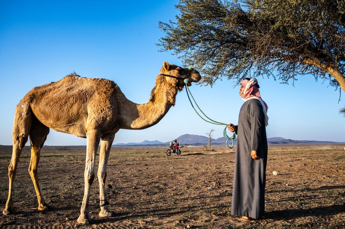 #4 Red Bull KTM Factory Racing KTM: Daniel Sanders