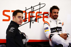 Стоффель Вандорн и Фернандо Алонсо, McLaren