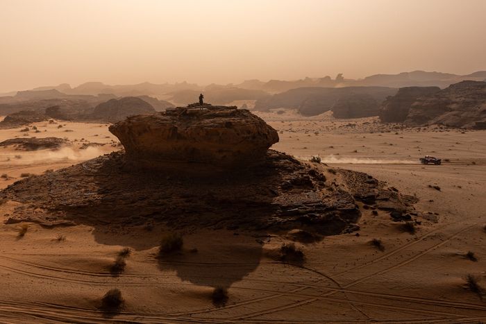 #202 Toyota Gazoo Racing W2Rc Toyota: Хенк Латеган, Бретт Каммингс