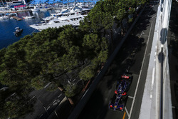 Sam Bird, DS Virgin Racing