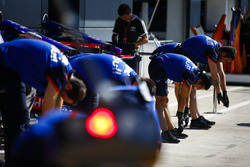 Toro Rosso mechanics perform stretching exercises