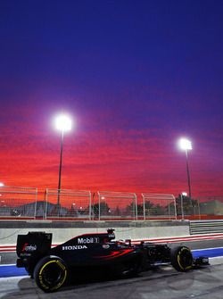 Stoffel Vandoorne, McLaren MP4-31