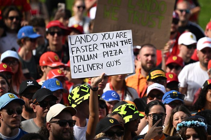 Fans of Lando Norris, McLaren