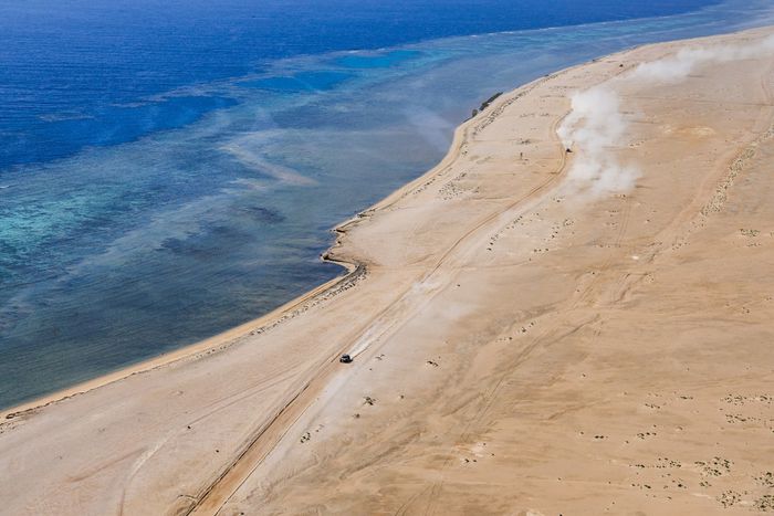 #299 The Dacia Sandriders Dacia: Nasser Al-Attiyah, Fabian Lurquin