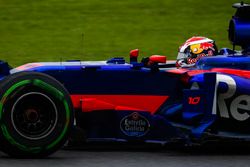 Pierre Gasly, Scuderia Toro Rosso STR12