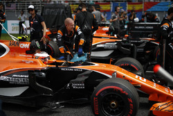 Stoffel Vandoorne, McLaren MCL32