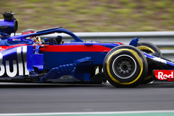 Шон Гелаель, Toro Rosso STR13