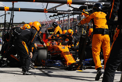 Stoffel Vandoorne, McLaren MCL33, in the pits