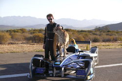Jean-Eric Vergne mit ein Gepard