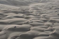 #303 Peugeot Sport Peugeot 3008 DKR: Carlos Sainz, Lucas Cruz