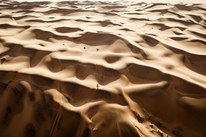 #77 Red Bull KTM Factory Racing KTM: Luciano Benavides