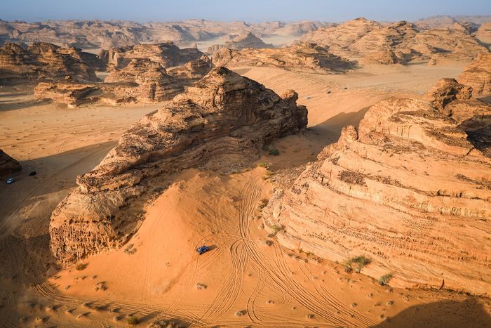 #225 Ford M-Sport Ford: Карлос Сайнс-старший, Лукас Круз