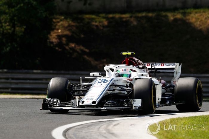 Antonio Giovinazzi, Sauber C37