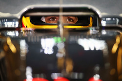 Фернандо Алонсо, McLaren MP4-31