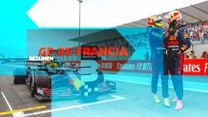 GP de Francia F1 resumen