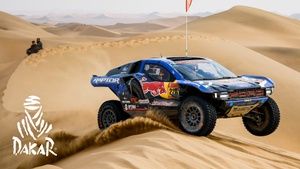 Dakar 2026 - Etap 11 Samochody
