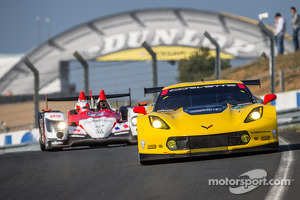 #74 Corvette Racing Chevrolet Corvette C7: Oliver Gavin, Tom Milner, Richard Westbrook