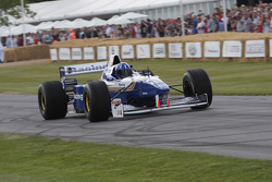 Williams FW18 - Damon Hill