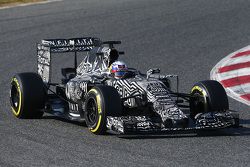 Daniel Ricciardo, Red Bull Racing RB11
